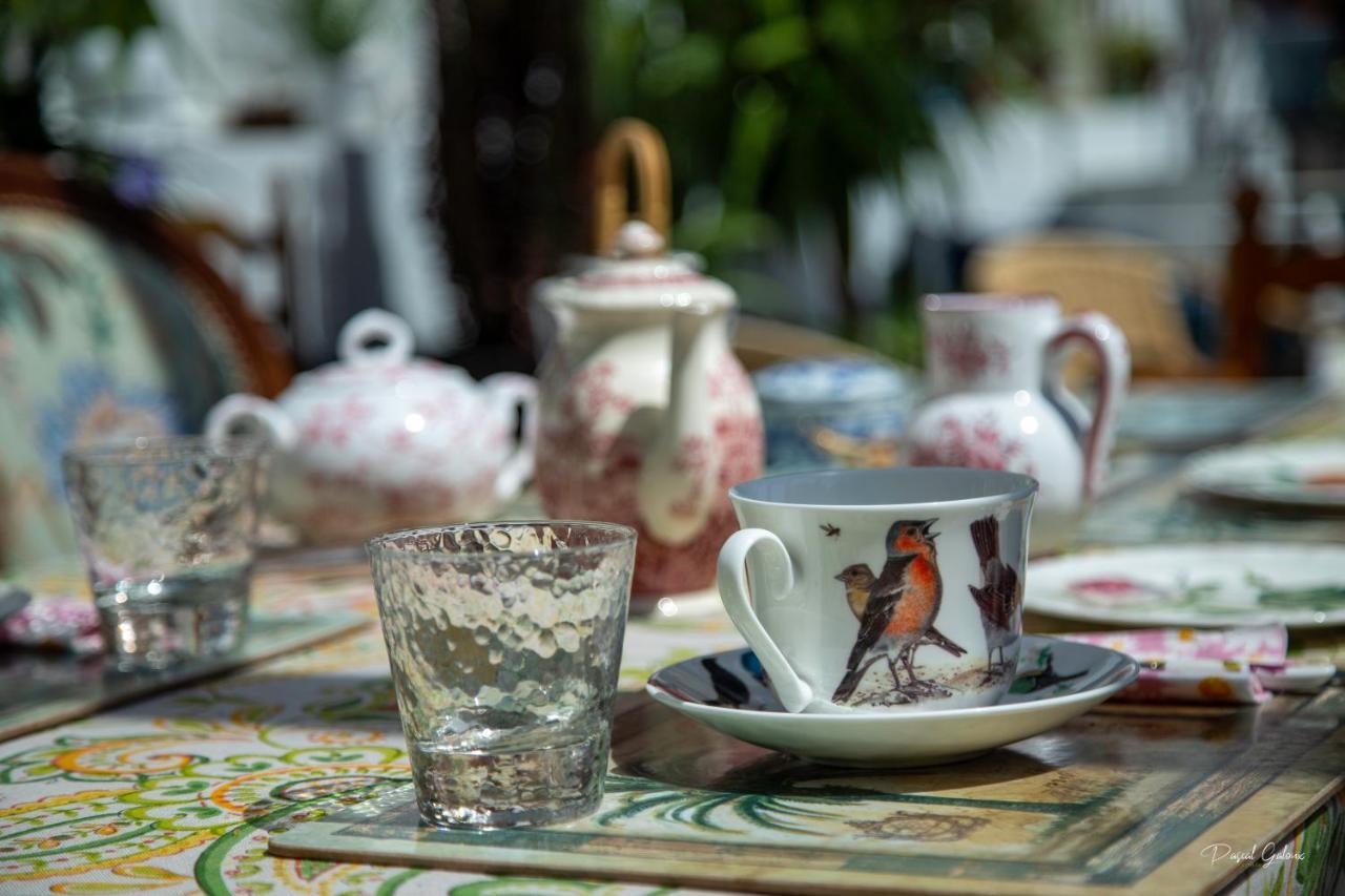 Villa Marguerite 65 Rue Legout Lesage 76260 Ponts Et Marais エクステリア 写真