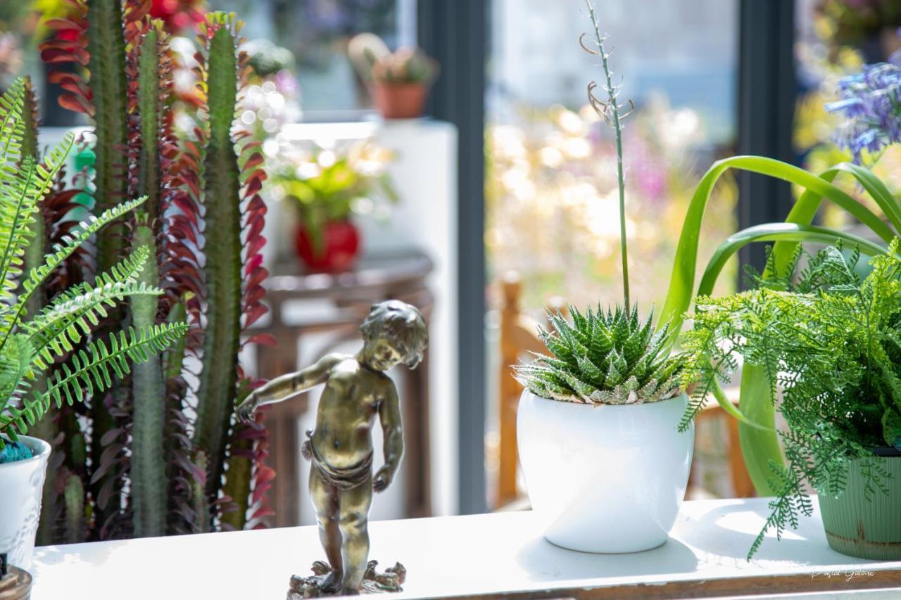 Villa Marguerite 65 Rue Legout Lesage 76260 Ponts Et Marais エクステリア 写真